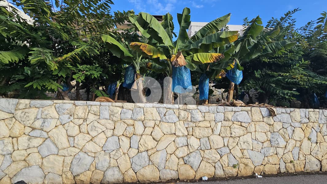 RWB526EA - Land for sale in Nahr Ibrahim Jbeil 1