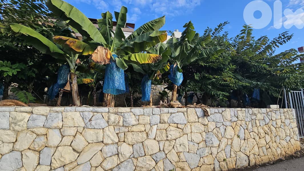 RWB526EA - Land for sale in Nahr Ibrahim Jbeil 2