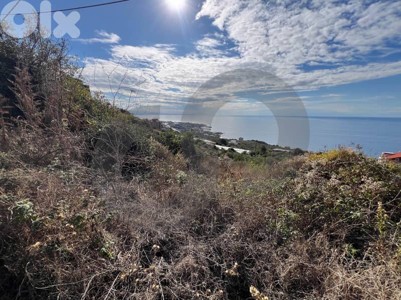 Great deal, 1436 sqm land in Rihane, Jbeil/ريحانه، جبيل REF#EK129537 1