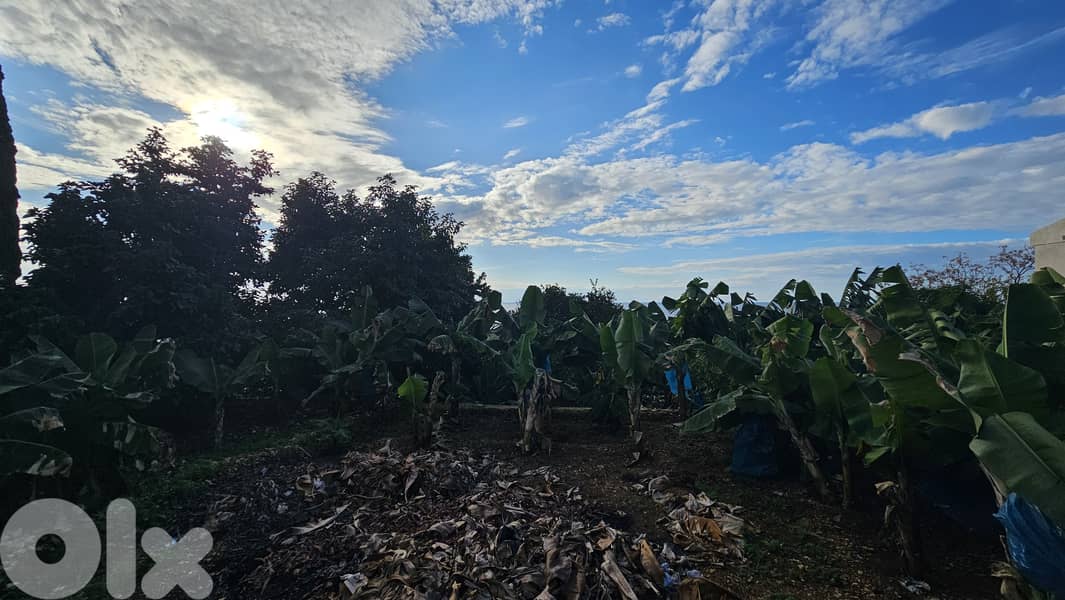 RWB527EA - Land for sale in Nahr Ibrahim Jbeil 2
