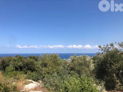 Land for sale in Monsef-Jbeil أرض للبيع في منصف جبيل