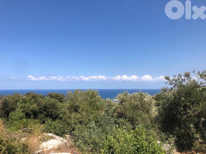 Land for sale in Monsef-Jbeil أرض للبيع في منصف جبيل 0