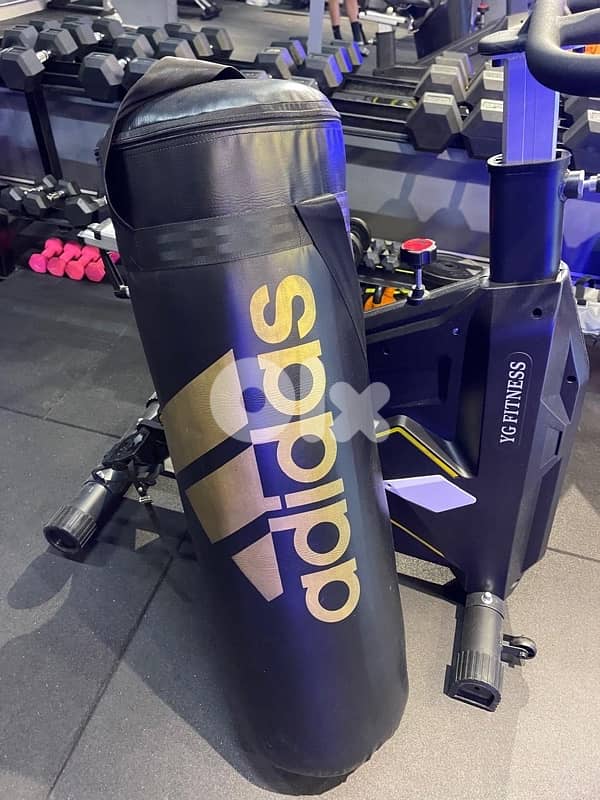 Boxing bag new 1