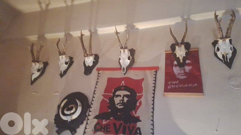 للبيع بداعي السفر 1