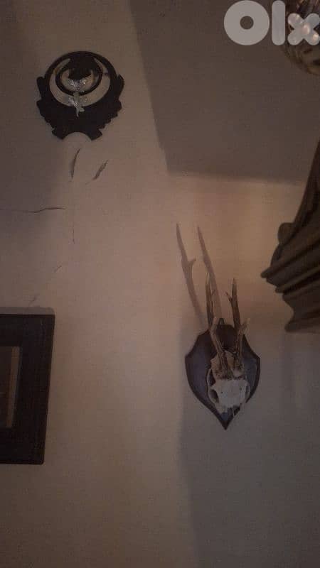 للبيع بداعي السفر 2