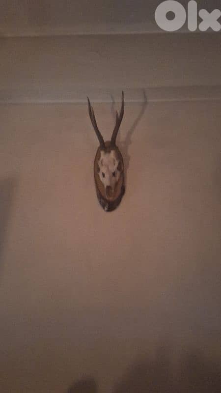 للبيع بداعي السفر 3