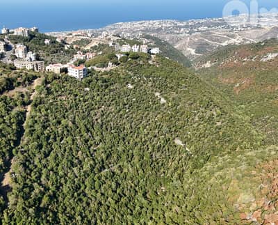 Land for sale in Breij - أرض للبيع في بريج
