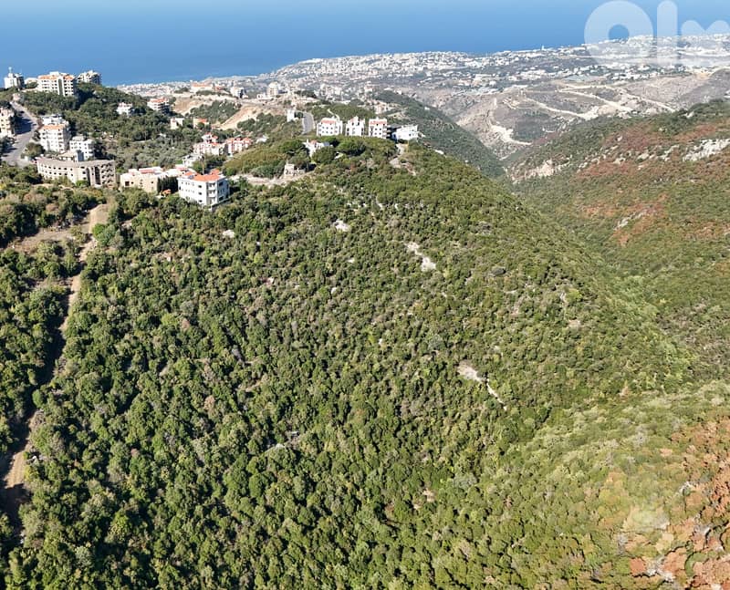 Land for sale in Breij - أرض للبيع في بريج 0