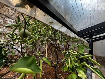 Apartment For Sale In Cornet Chehwan - شقة للبيع في قرنة شهوان