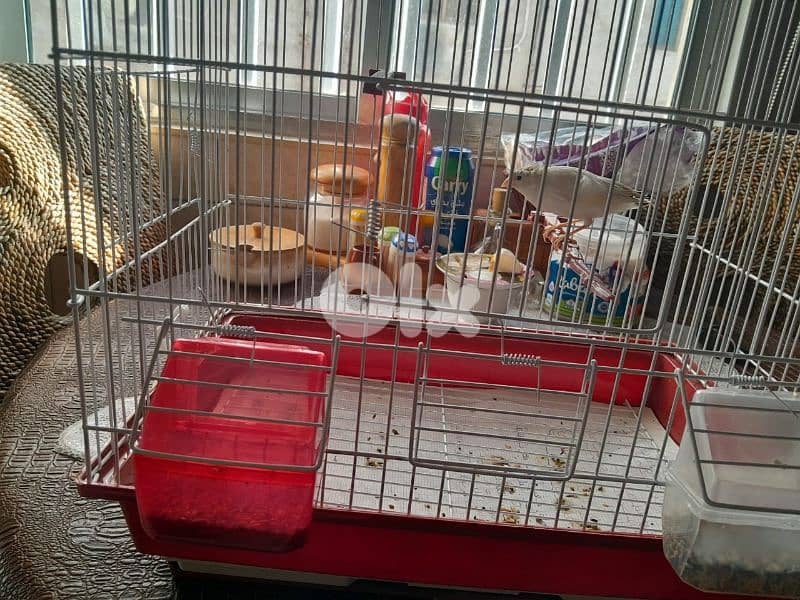 للبيع كنار مخلف لون ابيض مطربش ممتاز بجنن صحة توب حقو بس ١٥ دولار 5