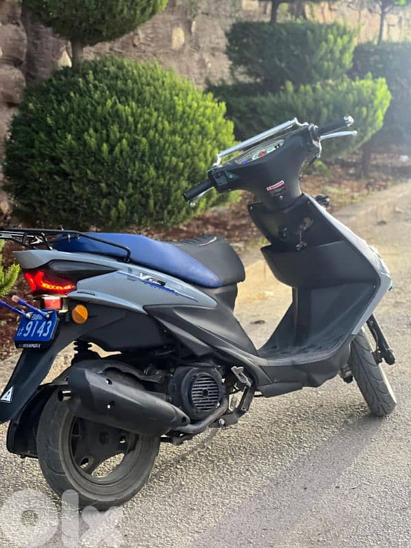 v150 2022 look 2024 3