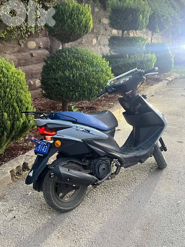 v150 2022 look 2024 5