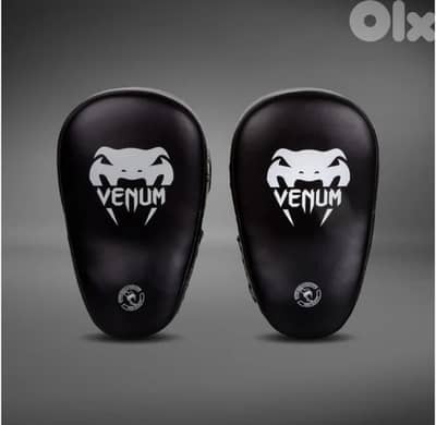 Venum Focus Mitts