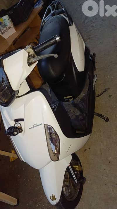 صور الجنوب76087796