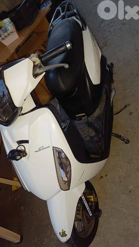 صور الجنوب76087796 0