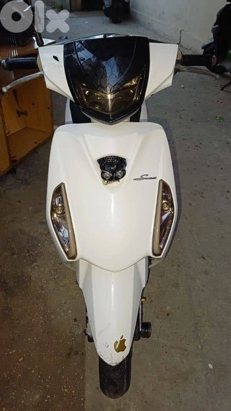 صور الجنوب76087796 1