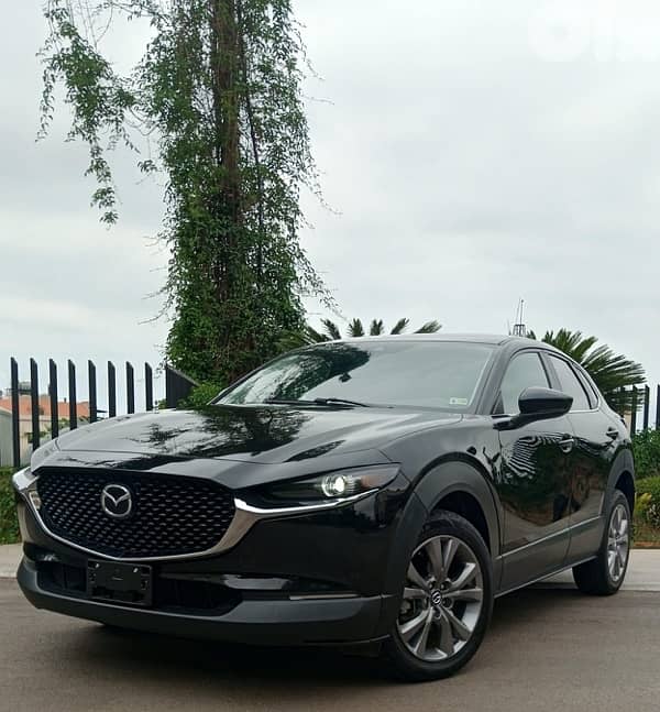 Mazda CX-30 2021 0