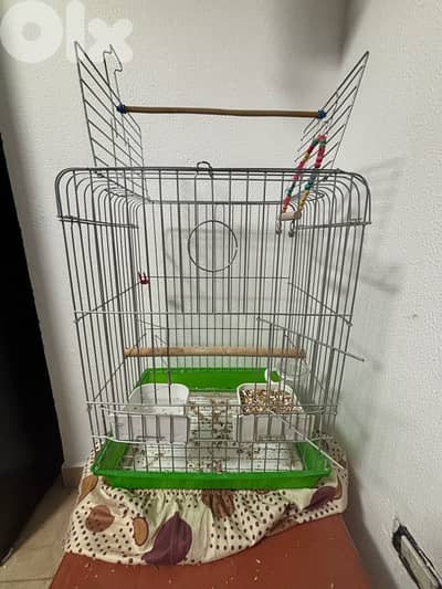 birds cages قفص كبير للبيع