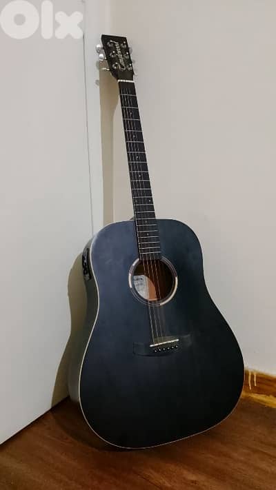 Electro Acoustic Guitar