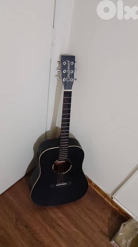 Acoustic Guitar 1