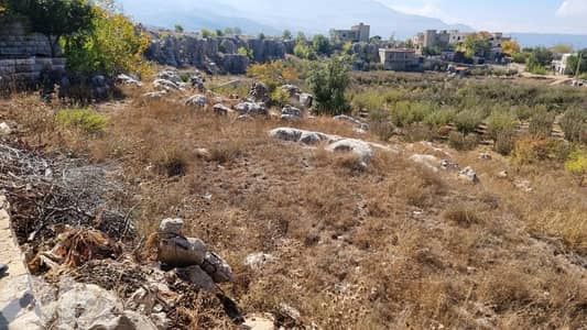 Land for Sale in Tarchich-أرض مميزة للبيع في ترشيش –  في وسط الضيعة