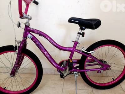 بسكليت schwinn usa