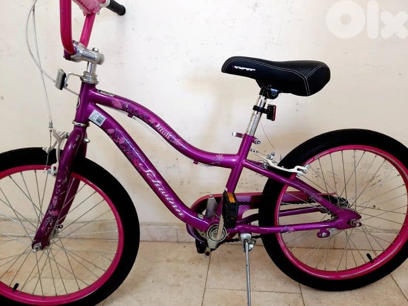 بسكليت schwinn usa 0