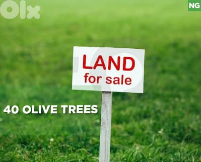 Land for Sale in abey  REF#NG129589