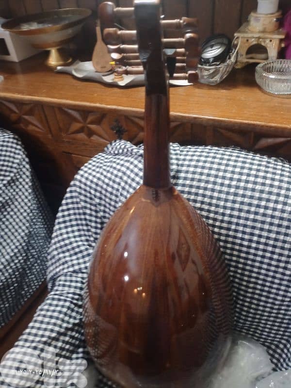 عود  اكبر مجموعة اعواد زرياب 0 التدريبية والتعليمية بأسعار مناسبة 14