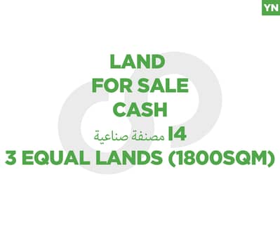 fully planted with mature olive trees, zgharta, rashiin REF#YN129611