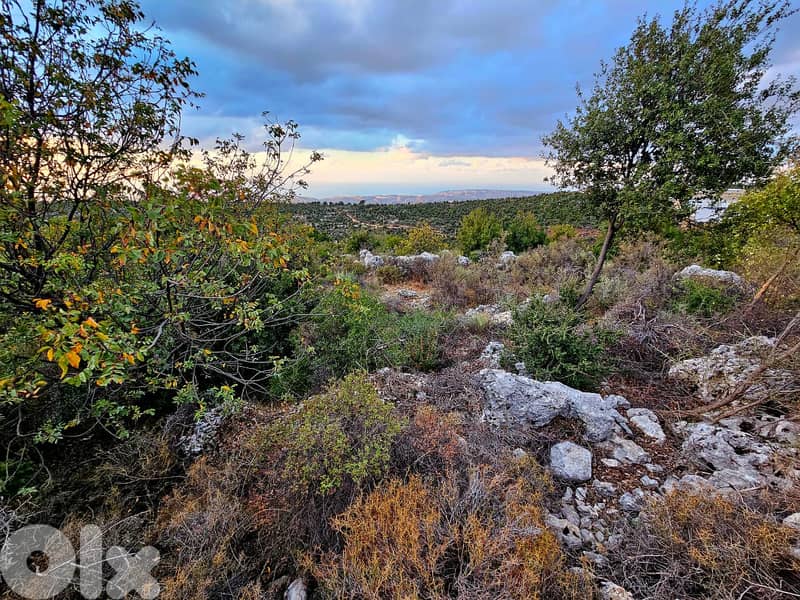 1000 SQM Land For Sale In Bechtoudar Batroun #CT196498 1