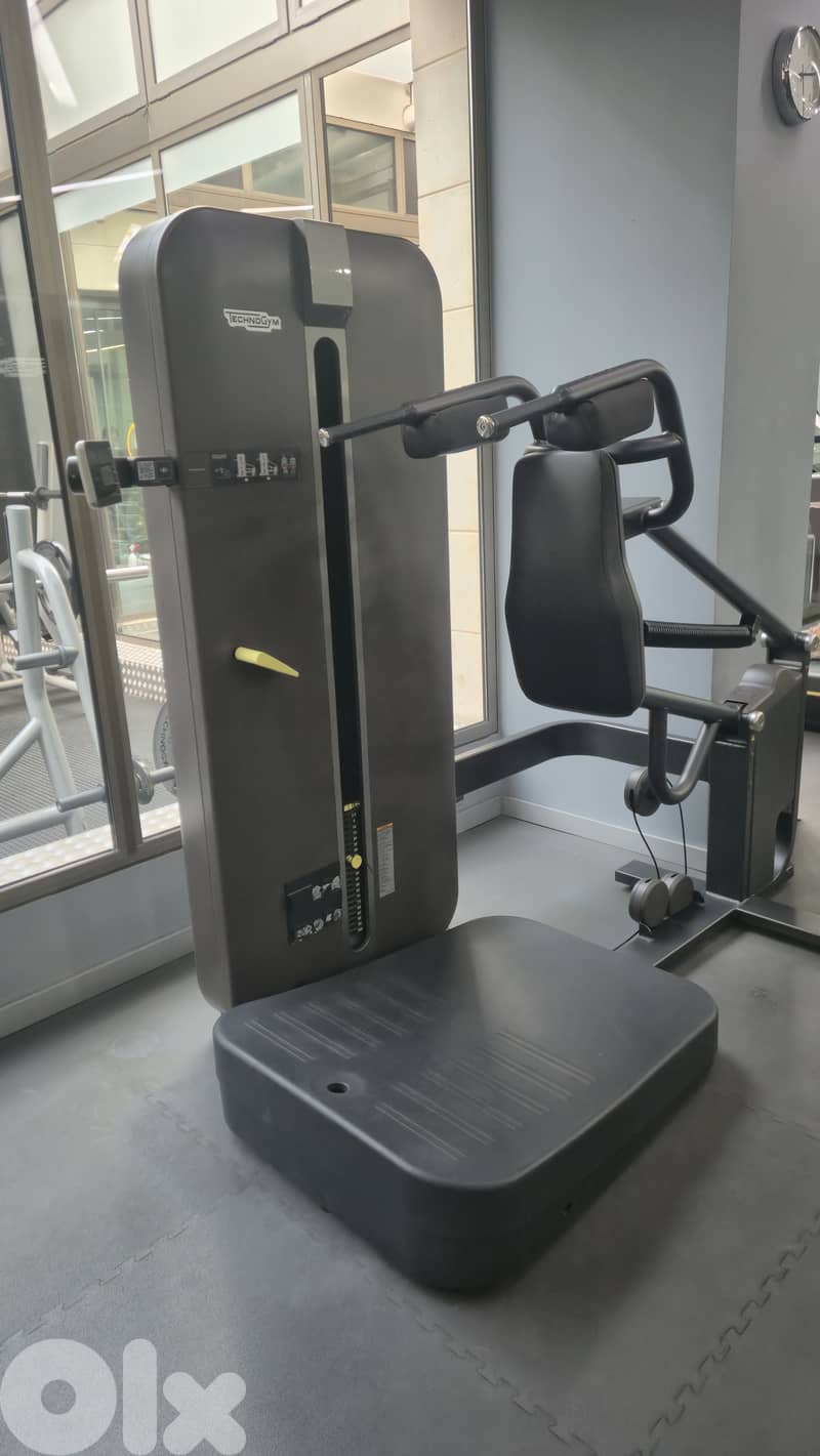 30 technogym artis line machines like new 8