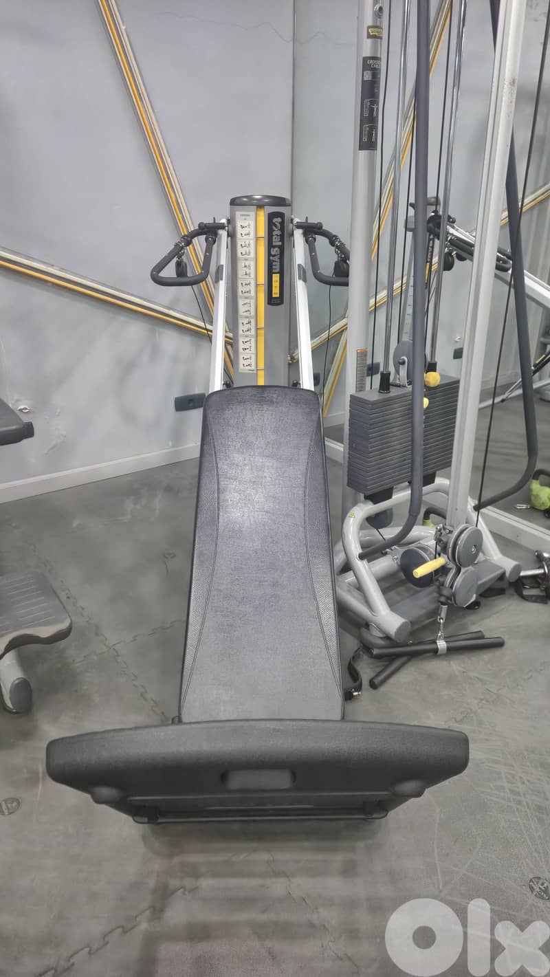 30 technogym artis line machines like new 11