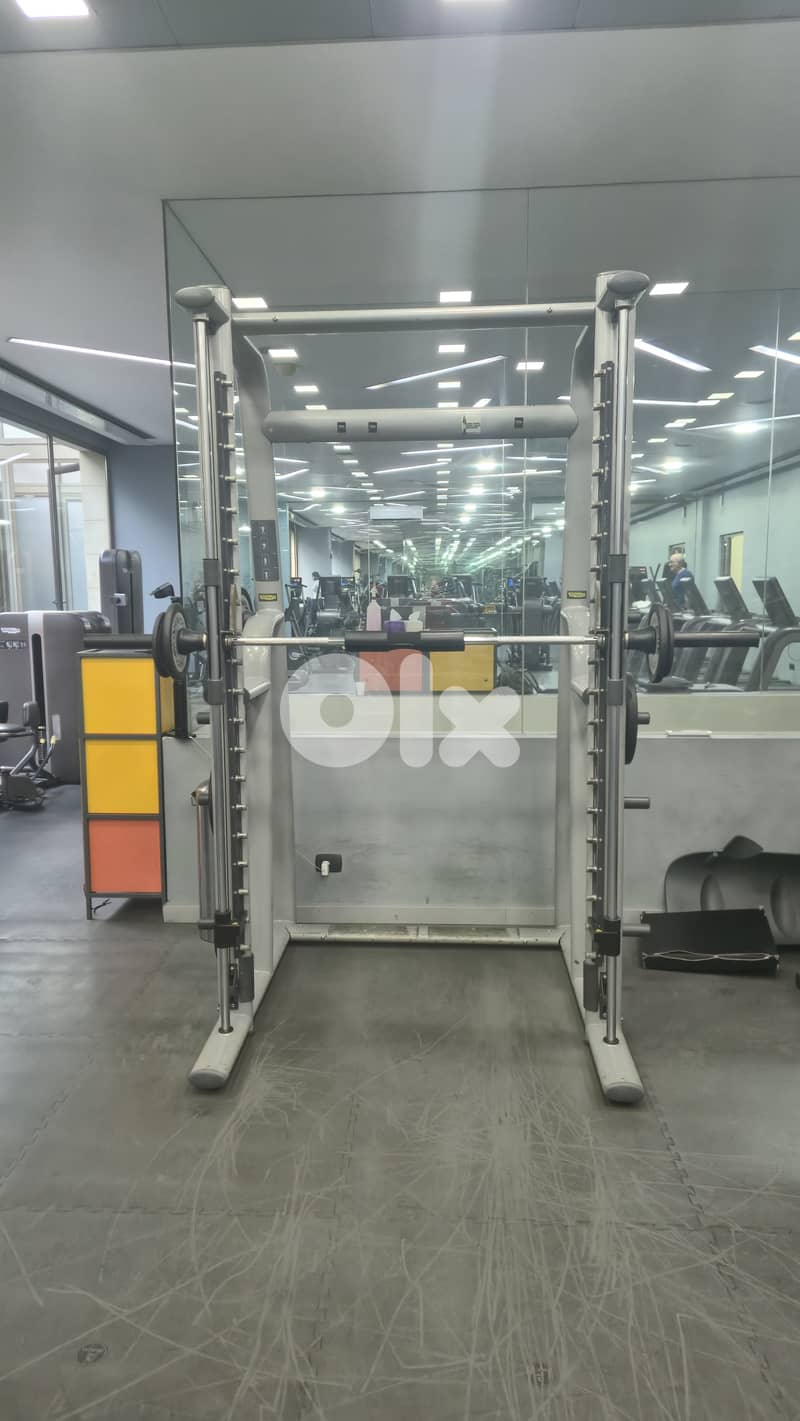 30 technogym artis line machines like new 14