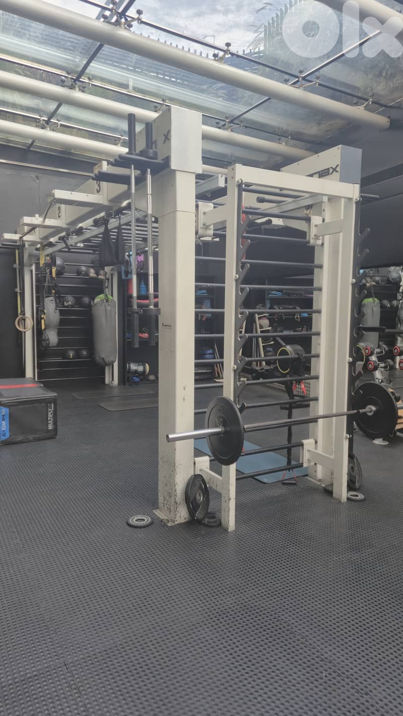 30 technogym artis line machines like new 16