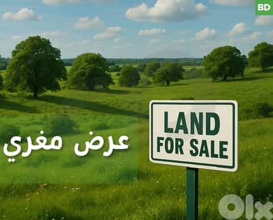 350 SQM HOT DEAL STUNNING VIEW IN NAKHLE/النخلة REF#BD121855