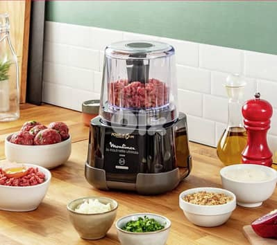 chopper mixer MOULINEX DP810855