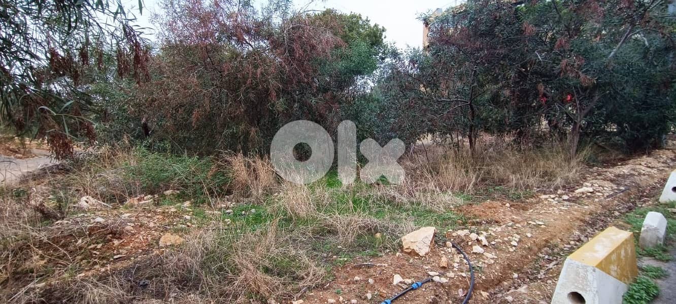 Prime Location Land For Sale In Mtayleb ارض للبيع في المطيلب 1