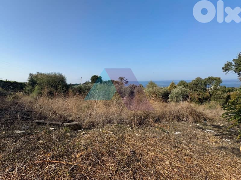 Berbara Entrance Land 4Sale with open Sea View - أرض للبيع في بربارا 1