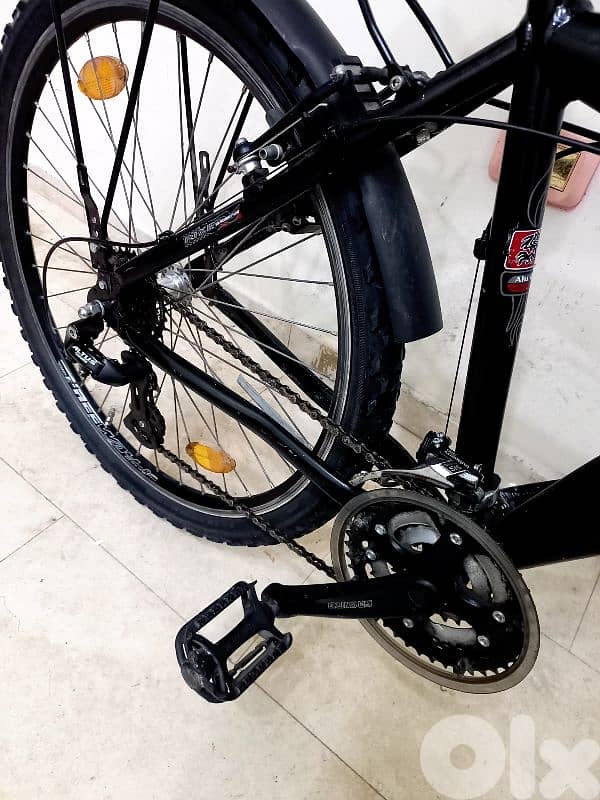 بسكليت Germany 5