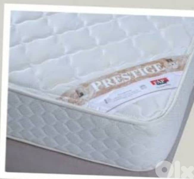 Fap prestige mfred wnos 0