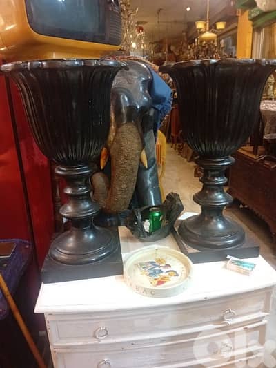 pows طول متر جوز