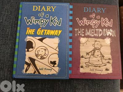 2 books wimpy kid