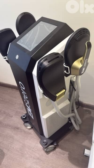 ems sculpture body machine