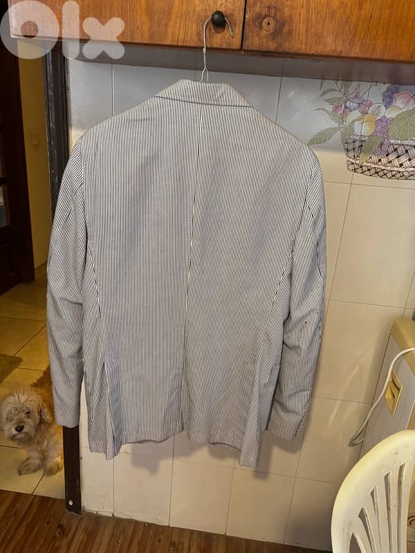 Massimo Dutti blazer • Romania 4