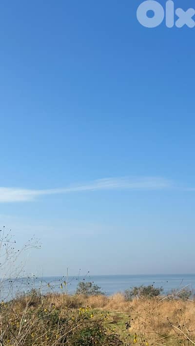 Land for sale in Kfaraabida-Batroun أرض للبيع في كفرعبيدا - البترون