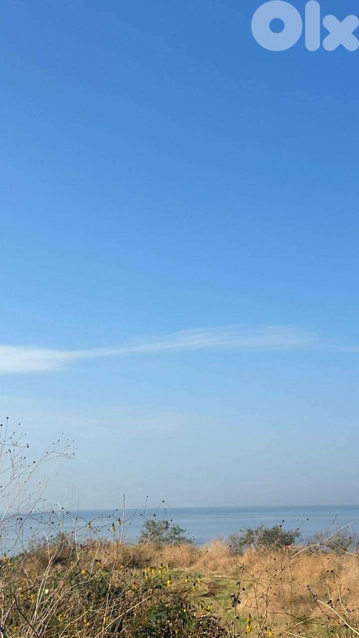 Land for sale in Kfaraabida-Batroun أرض للبيع في كفرعبيدا - البترون 0