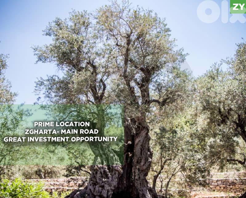 rare chance, prime area, zgharta, main road/زغرتا  REF#ZY129691 0