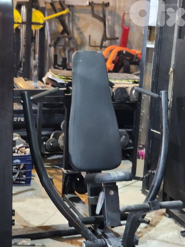 Chest Press Machine Geo Gym Equipment معدات رياضية متنوعة 0