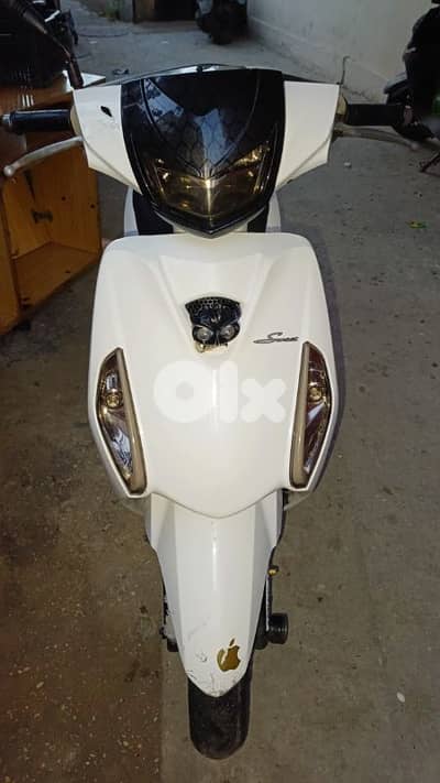 الجنوب صور دوار البص